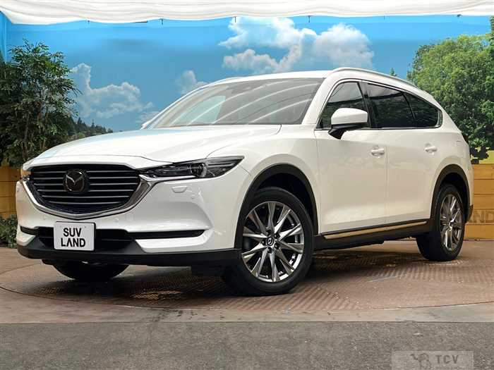2018 Mazda CX-8