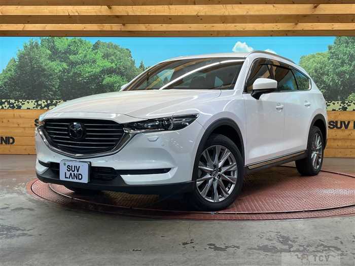 2018 Mazda CX-8