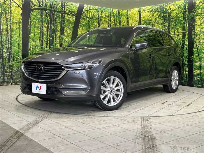 2018 Mazda CX-8
