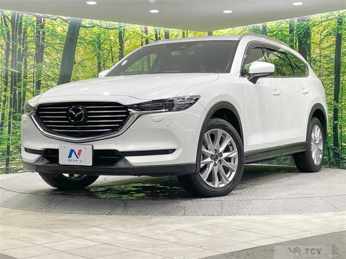 2018 Mazda CX-8