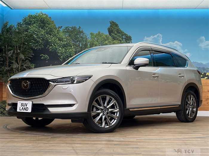 2021 Mazda CX-8
