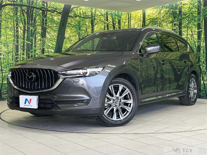 2019 Mazda CX-8