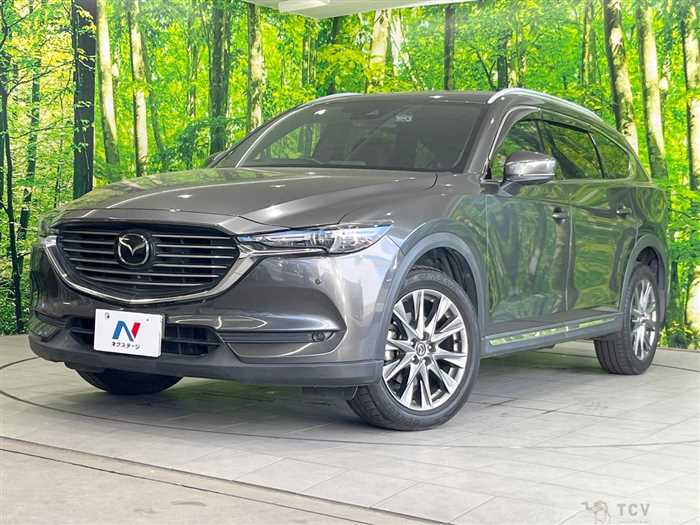 2019 Mazda CX-8