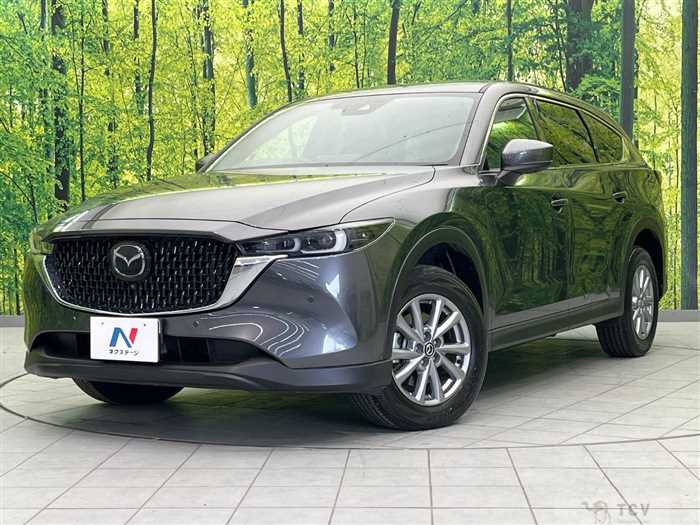 2023 Mazda CX-8