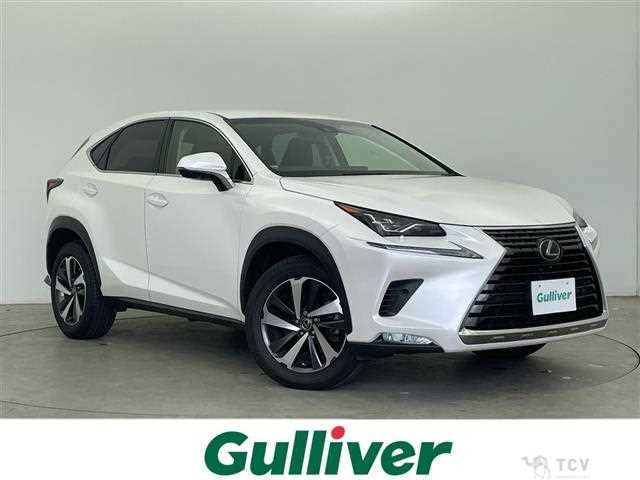 2017 Lexus NX