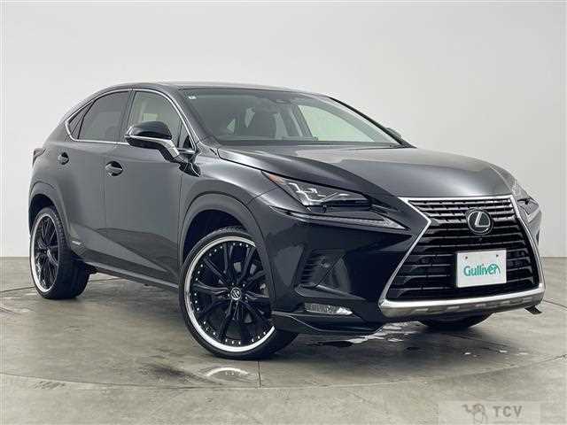 2018 Lexus NX