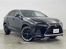 2018 Lexus NX