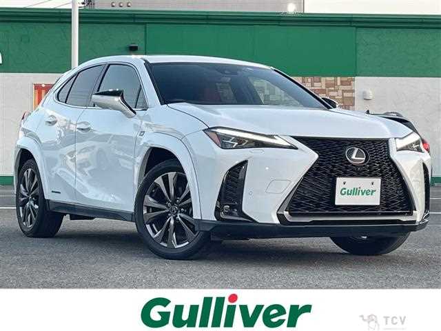 2019 Lexus UX