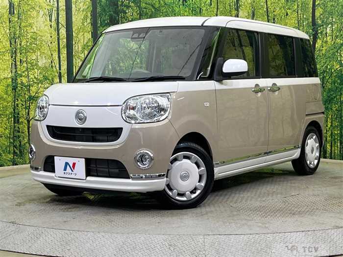 2019 Daihatsu Move Canbus