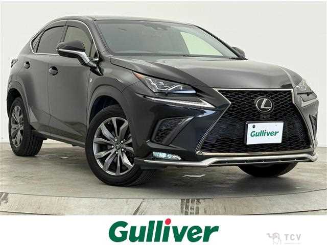 2019 Lexus NX