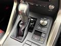 2019 Lexus NX