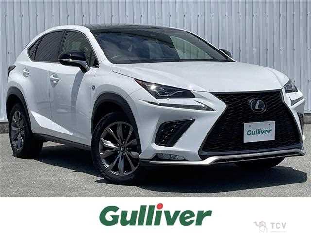 2018 Lexus NX