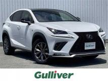 2018 Lexus NX