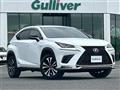 2019 Lexus NX