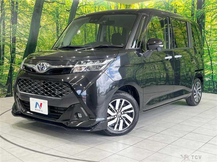 2019 Toyota Tank