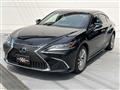 2019 Lexus ES