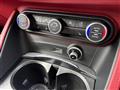 2021 Alfa Romeo Alfa Romeo Others