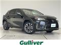 2021 Lexus UX
