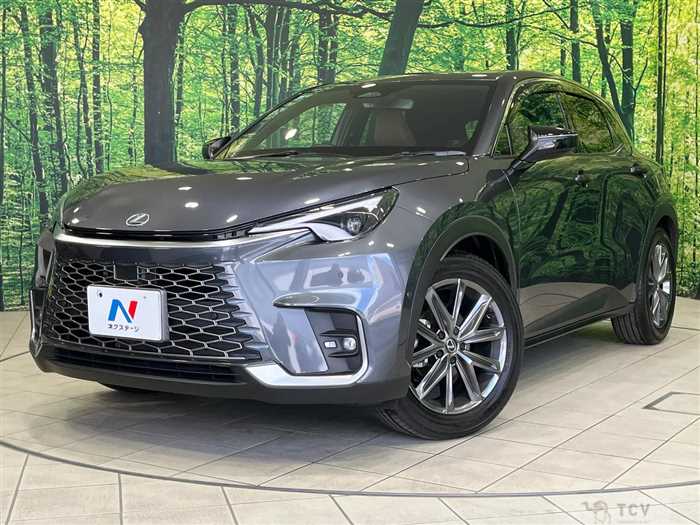 2024 Lexus Other