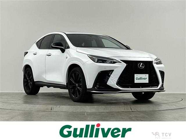2022 Lexus NX