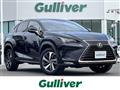 2019 Lexus NX