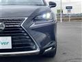 2019 Lexus NX