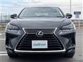 2019 Lexus NX