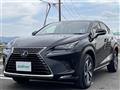 2019 Lexus NX