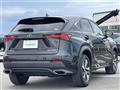 2019 Lexus NX