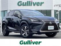 2019 Lexus NX