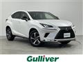 2020 Lexus NX