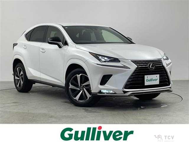 2020 Lexus NX