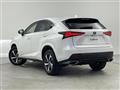 2020 Lexus NX