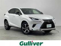 2020 Lexus NX