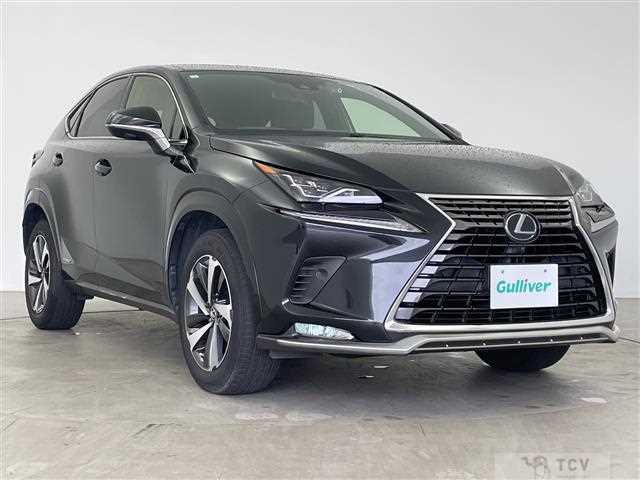 2021 Lexus NX