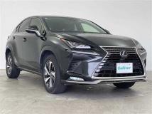 2021 Lexus NX
