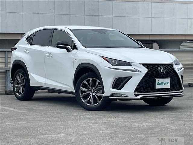 2019 Lexus NX