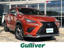 2019 Lexus NX