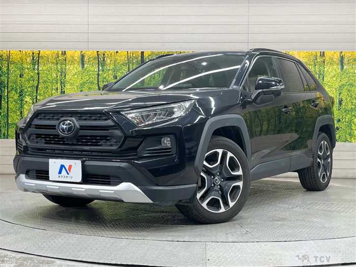 2019 Toyota RAV4
