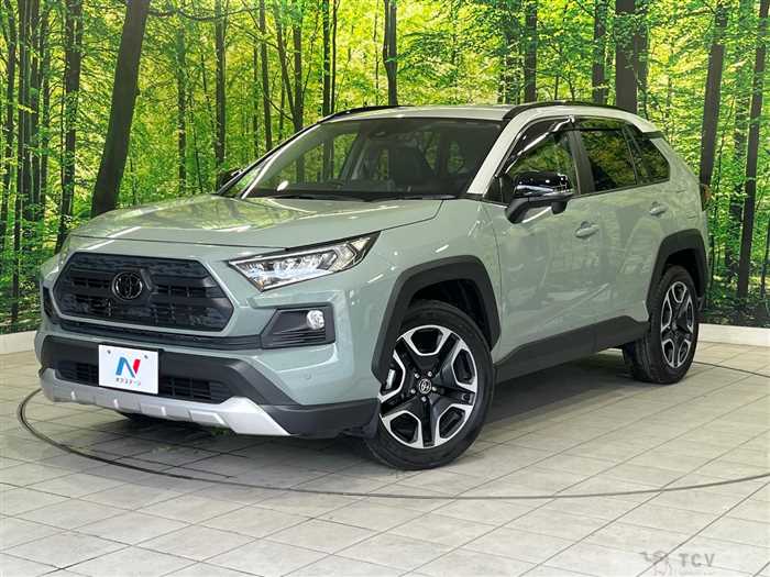 2019 Toyota RAV4