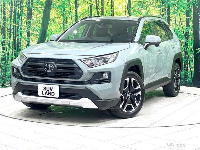 2019 Toyota RAV4
