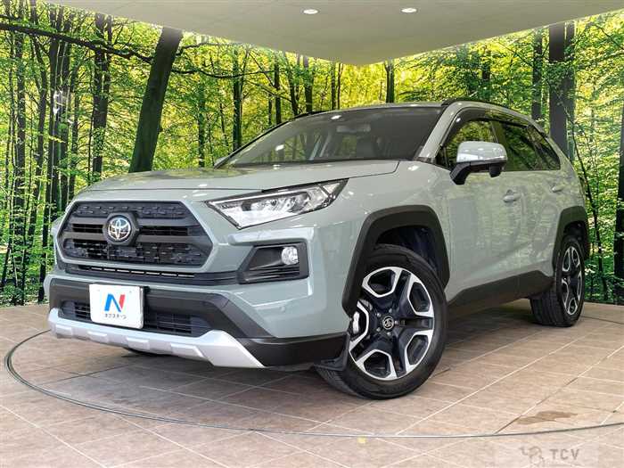 2019 Toyota RAV4