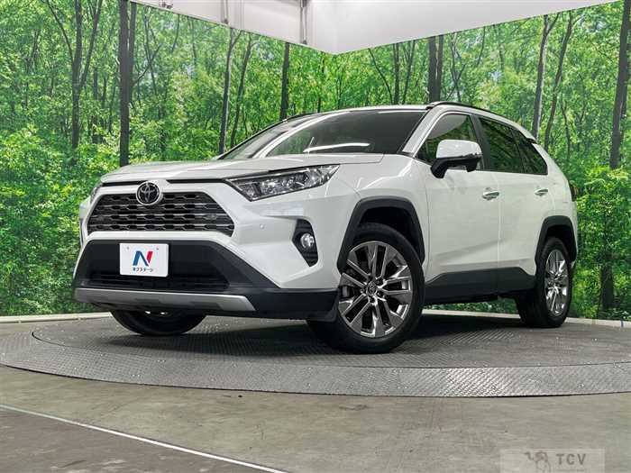 2020 Toyota RAV4