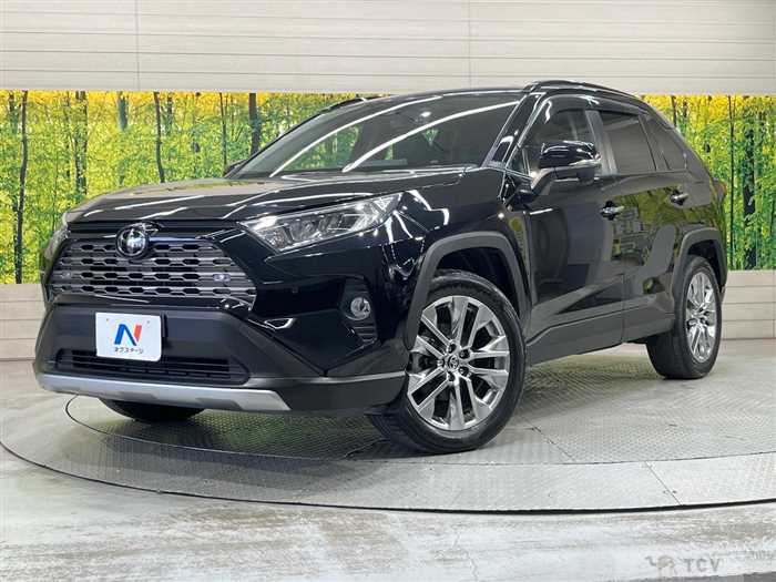 2020 Toyota RAV4