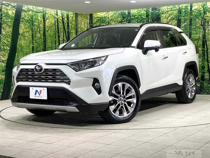 2019 Toyota RAV4