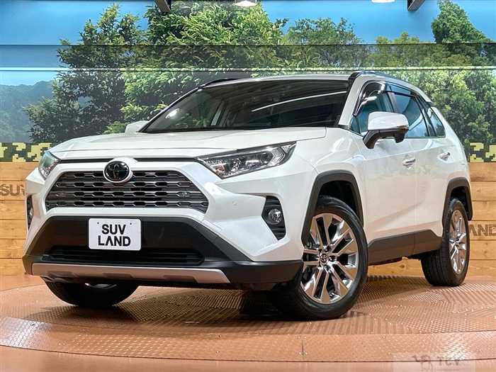 2019 Toyota RAV4