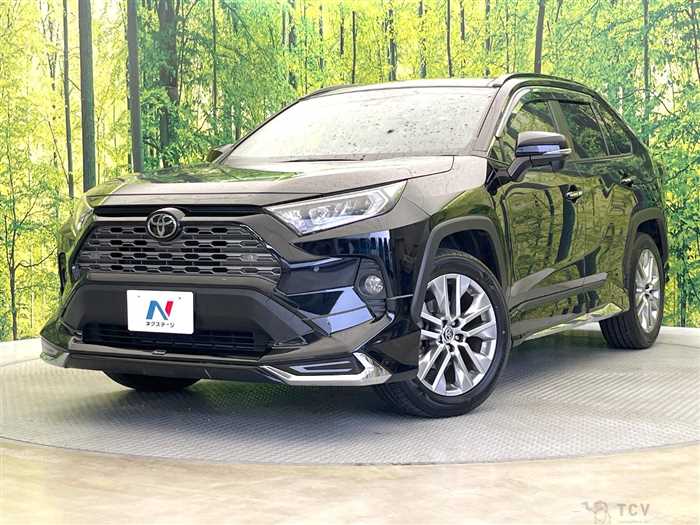 2019 Toyota RAV4