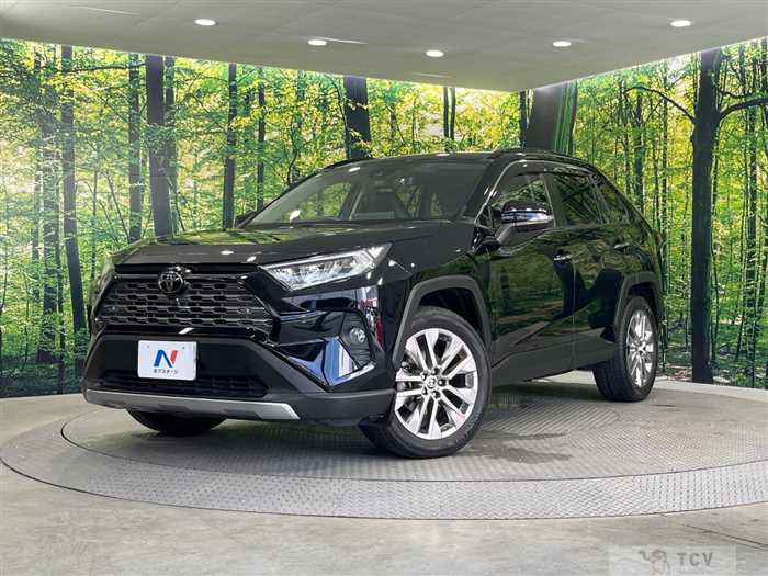 2020 Toyota RAV4