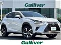 2018 Lexus NX