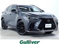 2022 Lexus NX